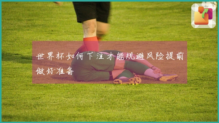 世界杯如何下注才能规避风险提前做好准备