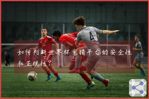 如何判断世界杯竞猜平台的安全性和正规性？